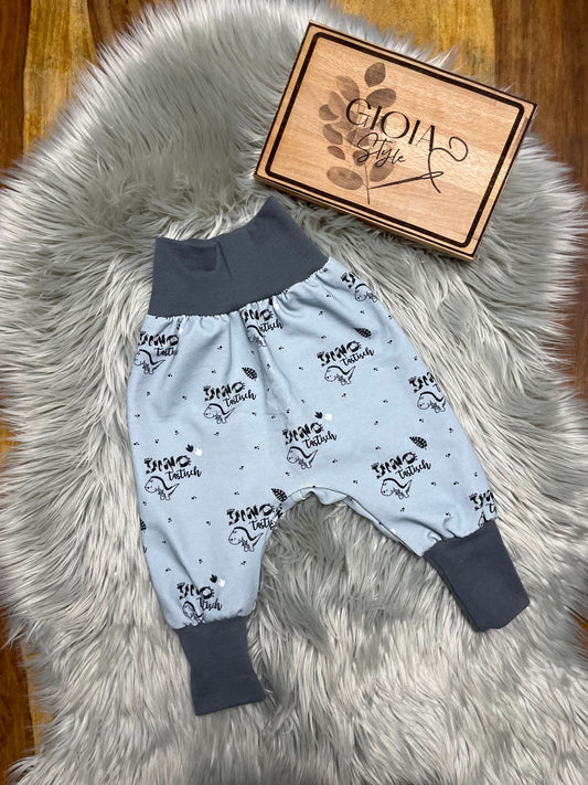 Größe: 74/80 Pumphose "DinoTastisch"