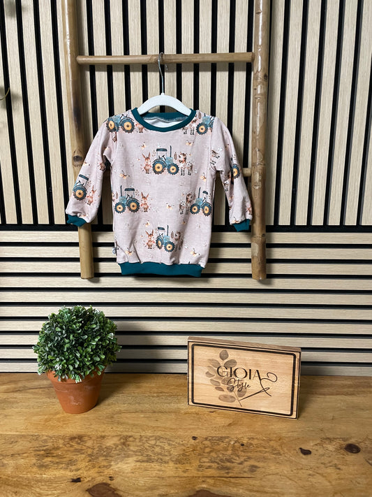 Größe: 74/80 Pullover