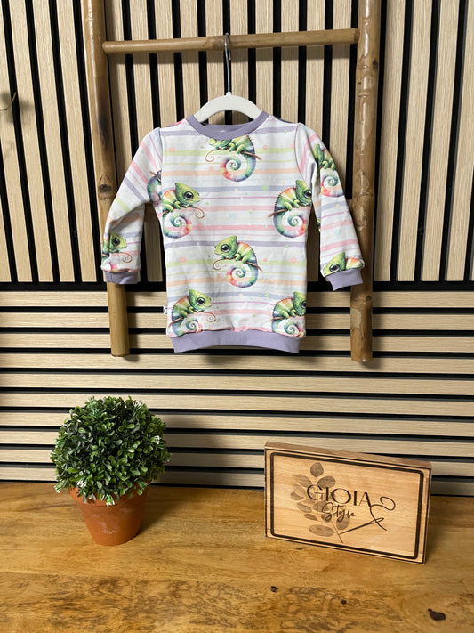 Größe: 74/80 Pullover