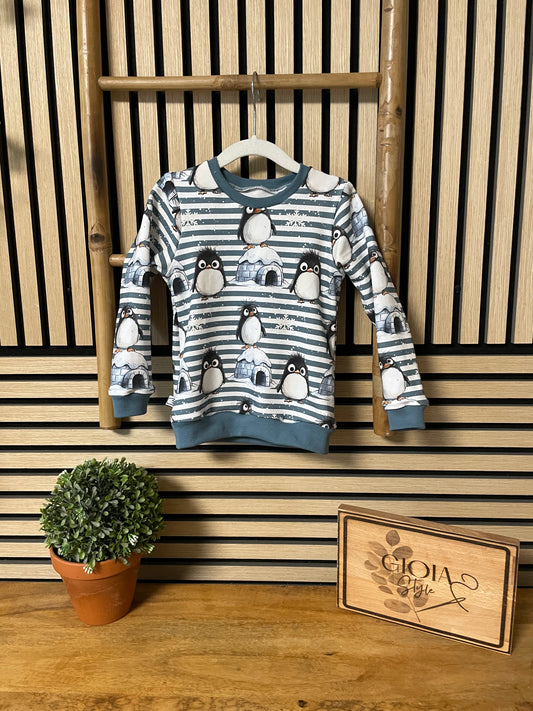 Größe: 86/92 Pullover
