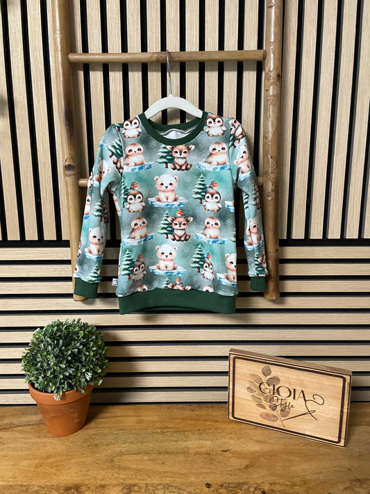 Größe: 86/92 Pullover