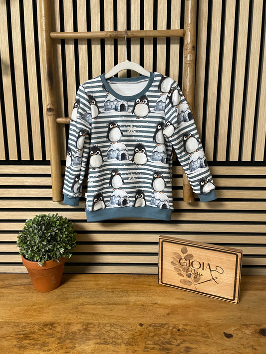 Größe: 98/104 Pullover