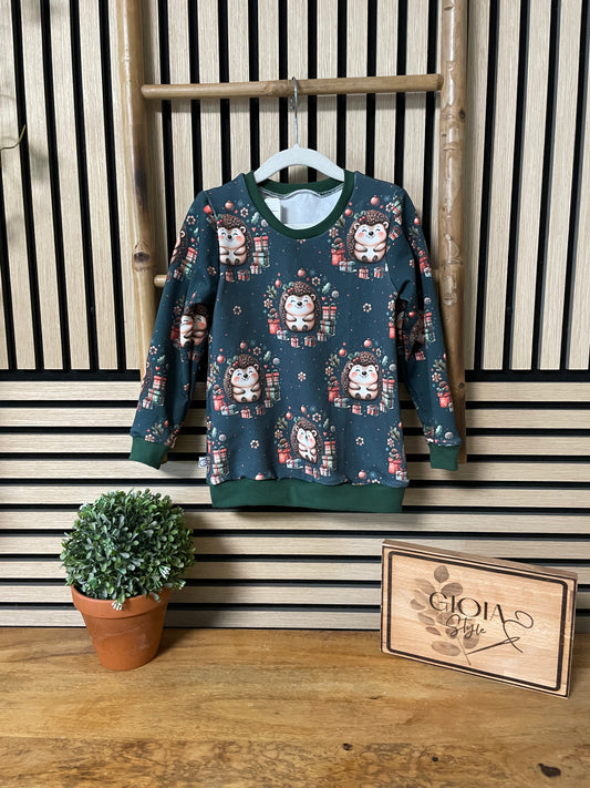 Größe: 98/104 Pullover