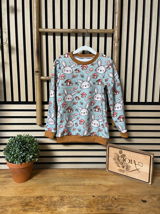 Größe: 110/116 Pullover