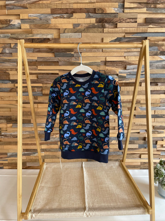 Größe: 74/80 Pulli "Dino"